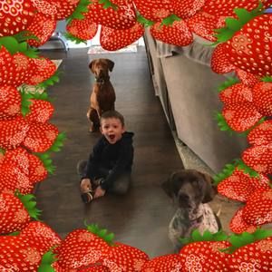 Meet your Posher, Donna